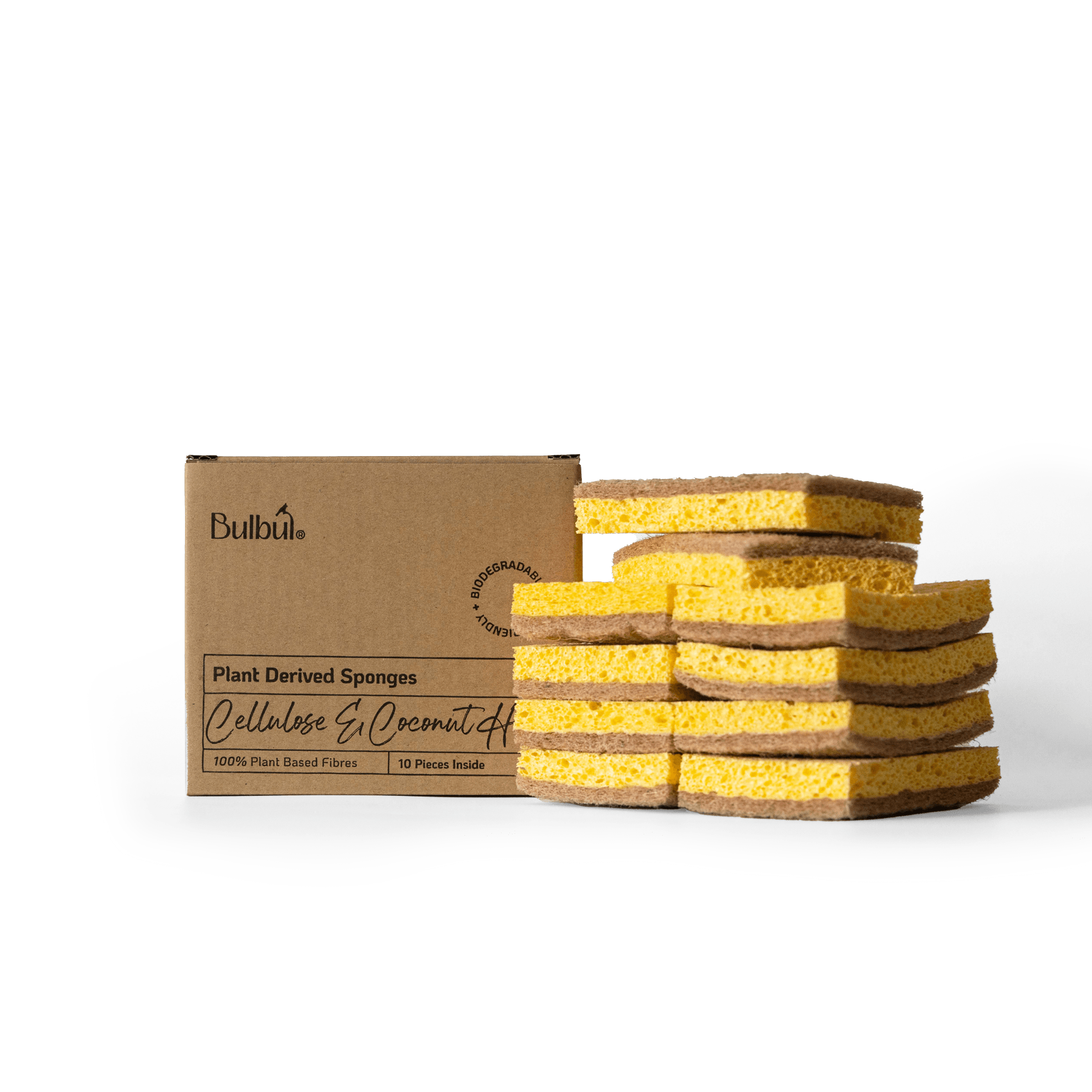 Household Appliance Accessories Bulbul Plant Derived Sponges