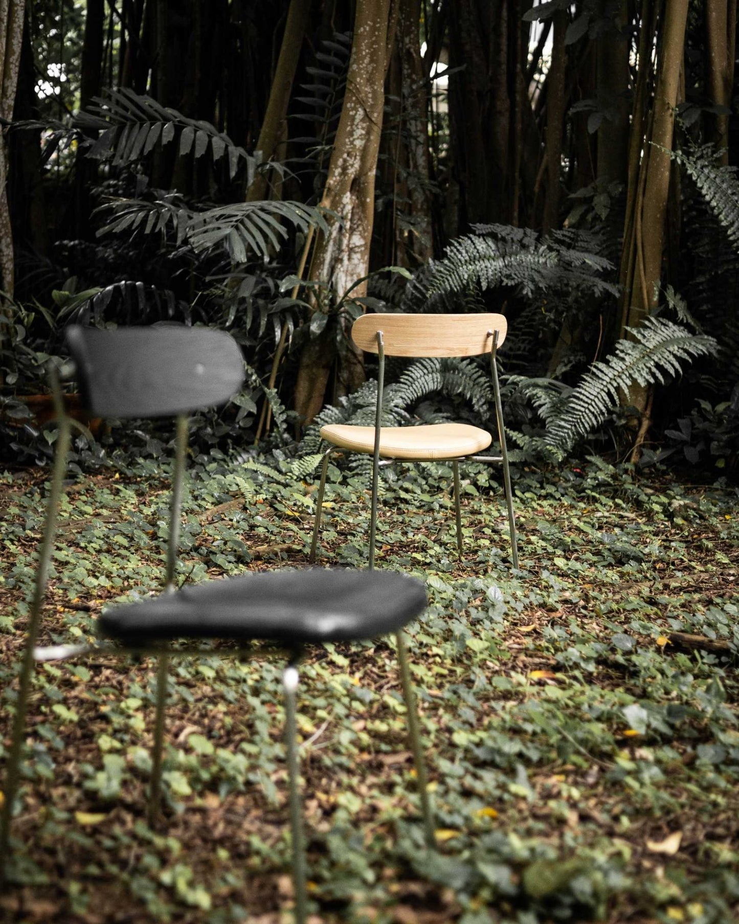 Chairs Bulbul Passerine Chair - Award-Winning Design by Singapore Designer | Bulbul