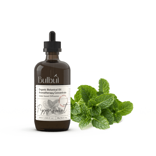 Aromatherapy Concentrate Bulbul Peppermint Water-soluble Aromatherapy Essential Oil 250ml