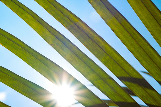 Small Changes, Big Impact: How Simple Habits Can Make the World Greener