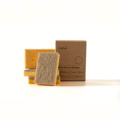 Household Appliance Accessories Bulbul Plant Derived Sponges