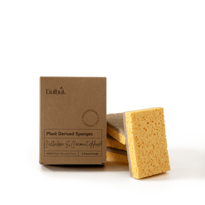 Household Appliance Accessories Bulbul Plant Derived Sponges