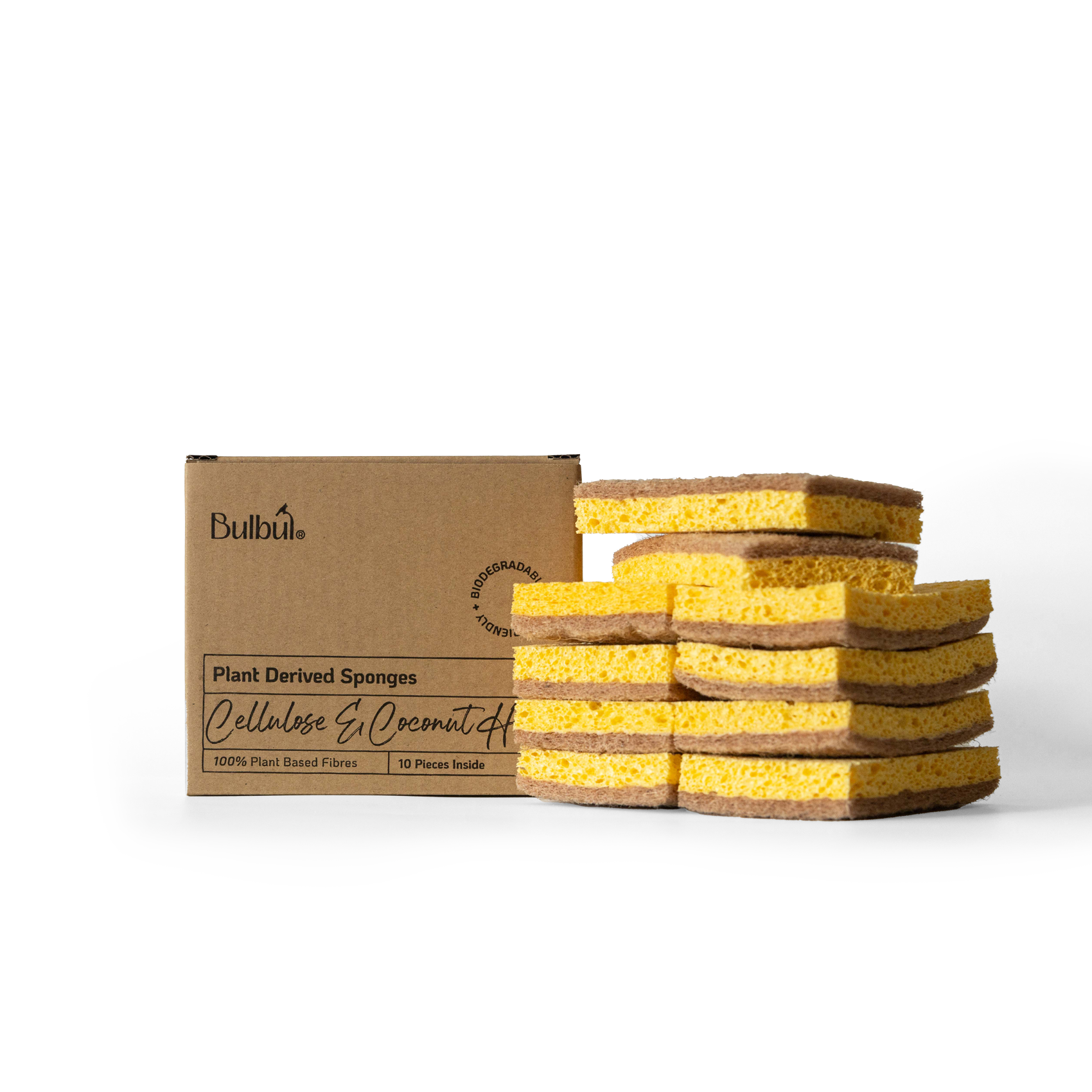 Household Appliance Accessories Bulbul Plant Derived Sponges