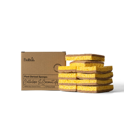 Bulbul Plant derived Sponges