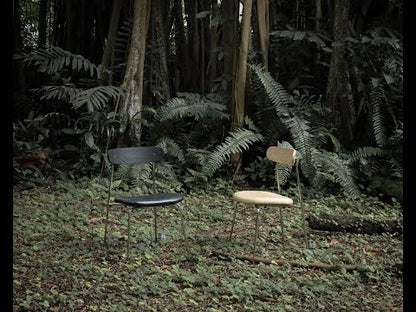 Passerine Chair - Award-Winning Design by Singapore Designer | Bulbul