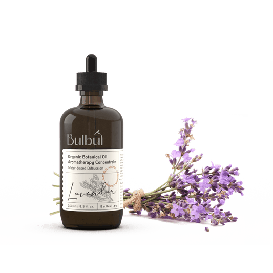 Aromatherapy Concentrate Bulbul Lavender Water-soluble Aromatherapy Essential Oil 250ml